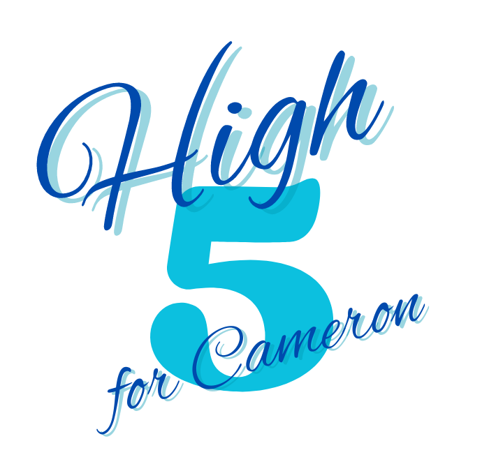 High 5 for Cameron