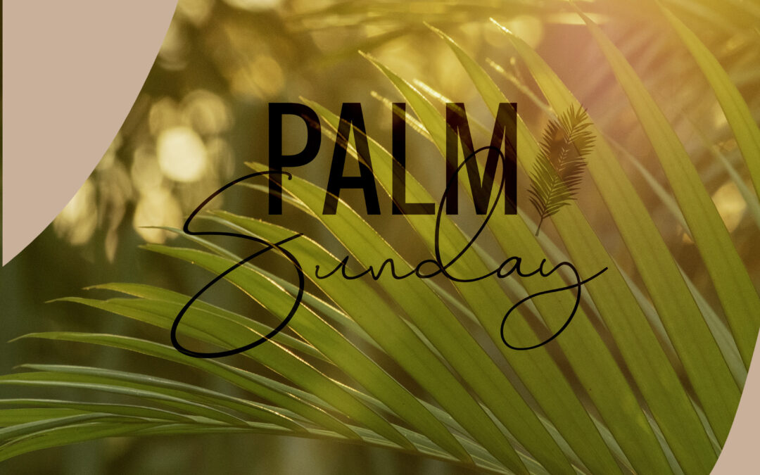 Palm Sunday chat with the Children