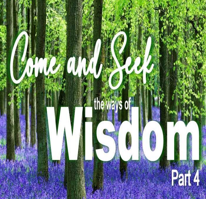 Wisdom and Memorial Day