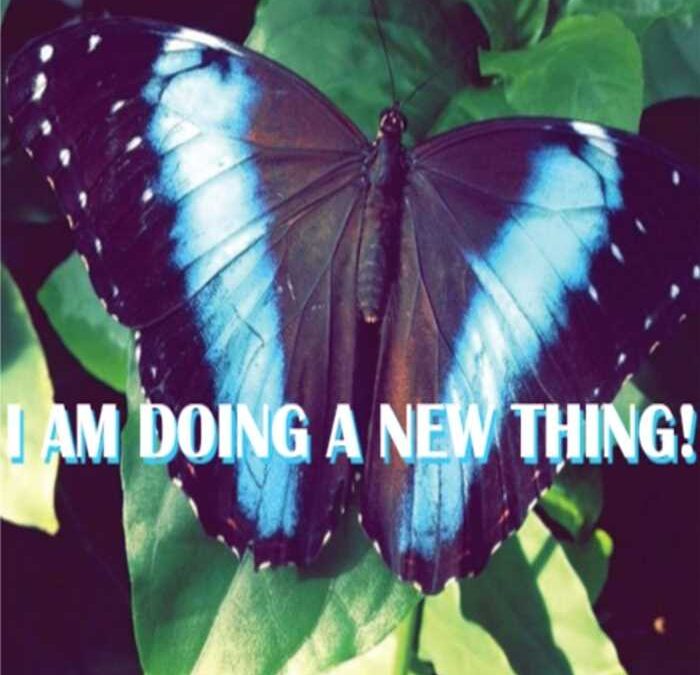 Worship Order – January 4, 2026- Second Sunday of Christmas