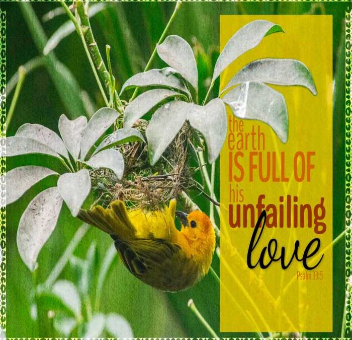 Worship Order – January 25, 2026 – Adapted for Zoom