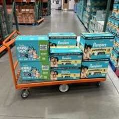 Summer Diaper Collection Kick-off