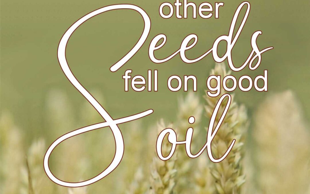 Worship Order –  July 12, 2026